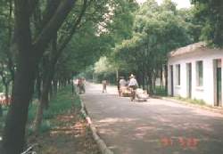 Street in China